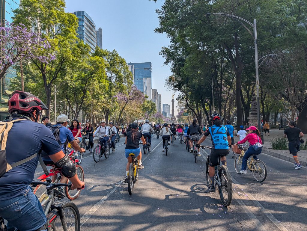 a group of people bike down Mexico City's major road, Reforma