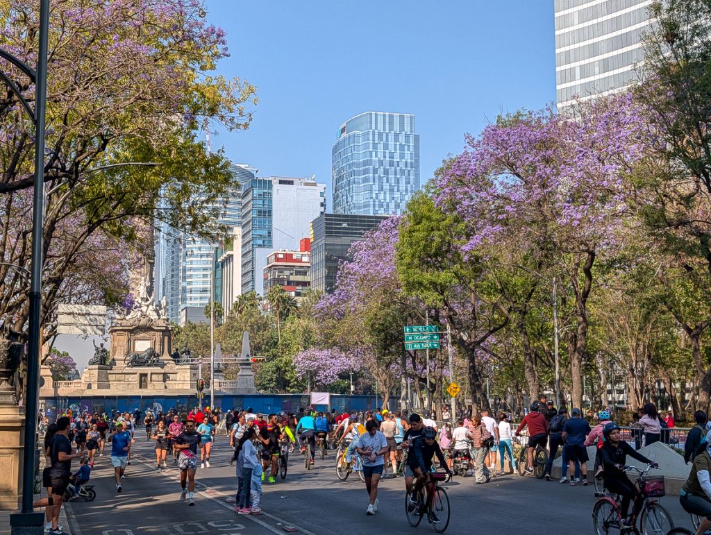 A large group of people bike and walk down Reforma street in Mexico City on Bike Sunday
