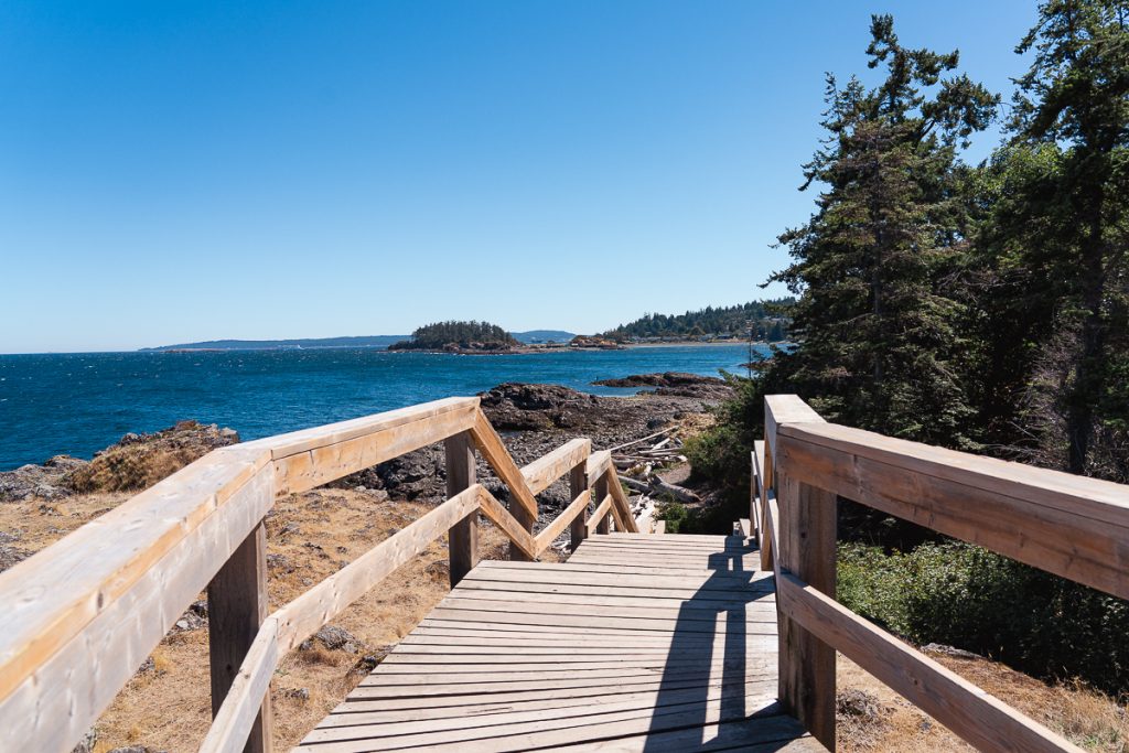 A wooden walkway with railings next to a rocky beach on one side and pine trees on the other.