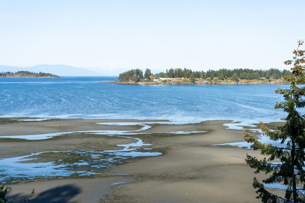 A landscape photo from a lookout overlooking a beach or river at low tie with houses on a promontory in the background.