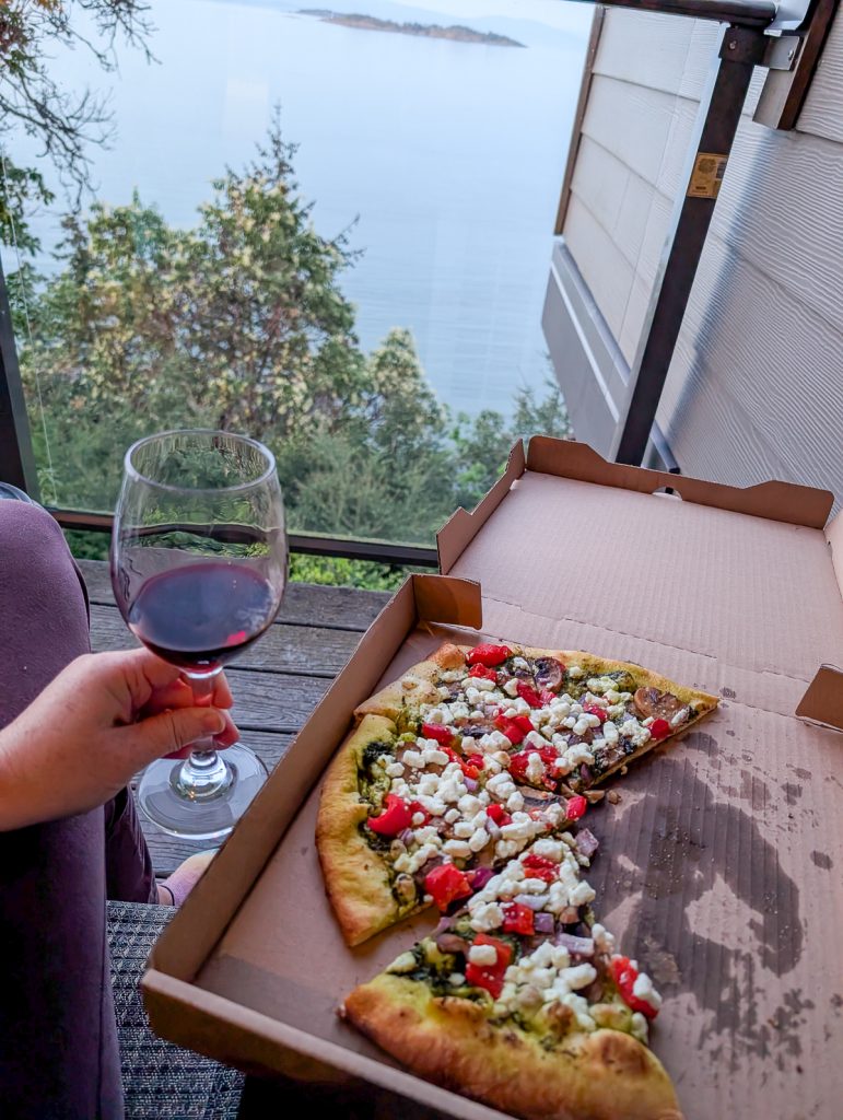 An open pizza box with half a pizza in it next to a hand holding a glass of red wine next to a window looking down over tree tops to water.