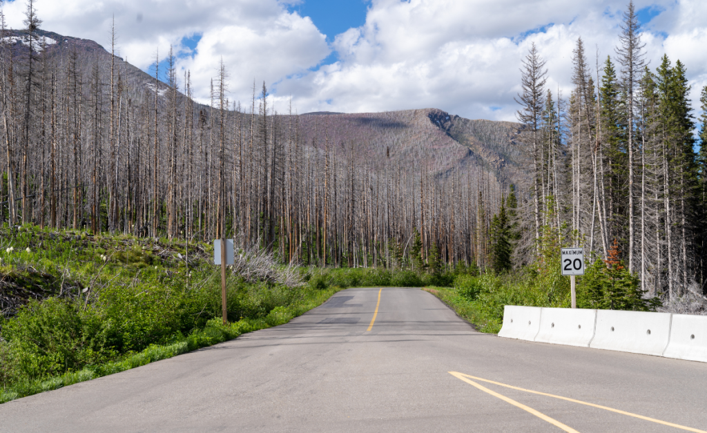 Akamina Parkway in Waterton Lakes National Park 