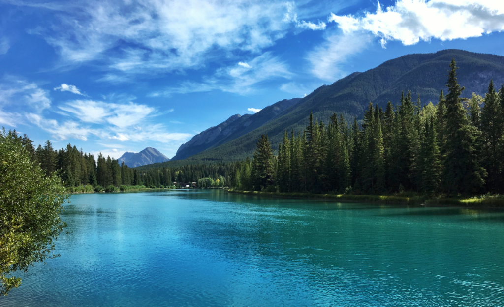 A very blue river surrounded by pine trees and mountains under a blue sky with some white clouds.