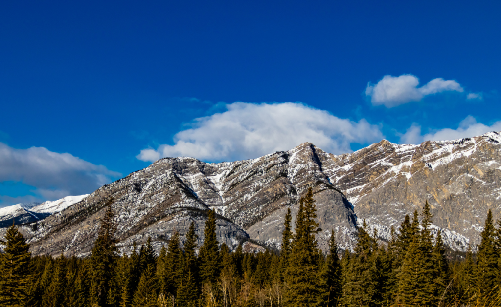 Rocky mountains with a smattering of snow on top and pine trees below, with a blue sky and a couple of fluffy white clouds above.