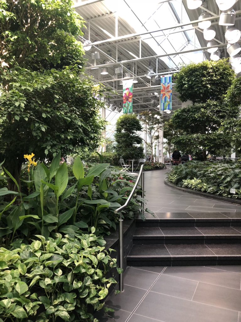 An indoor garden with lots of greenery, clean paths and some tables and chairs in the distance.