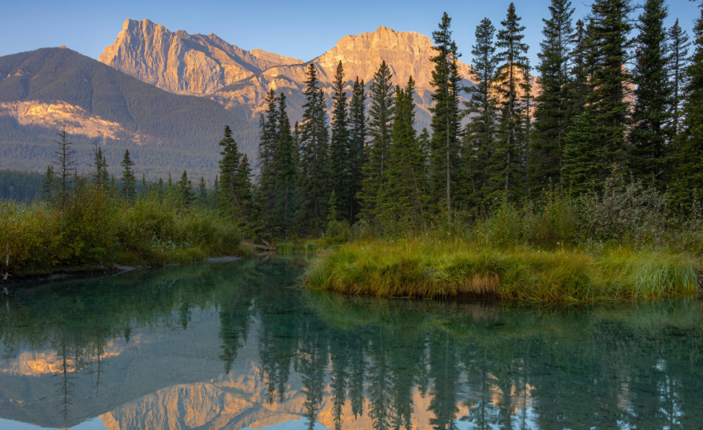 Still water with green riverbanks and pine trees plus rocky mountains in the background.