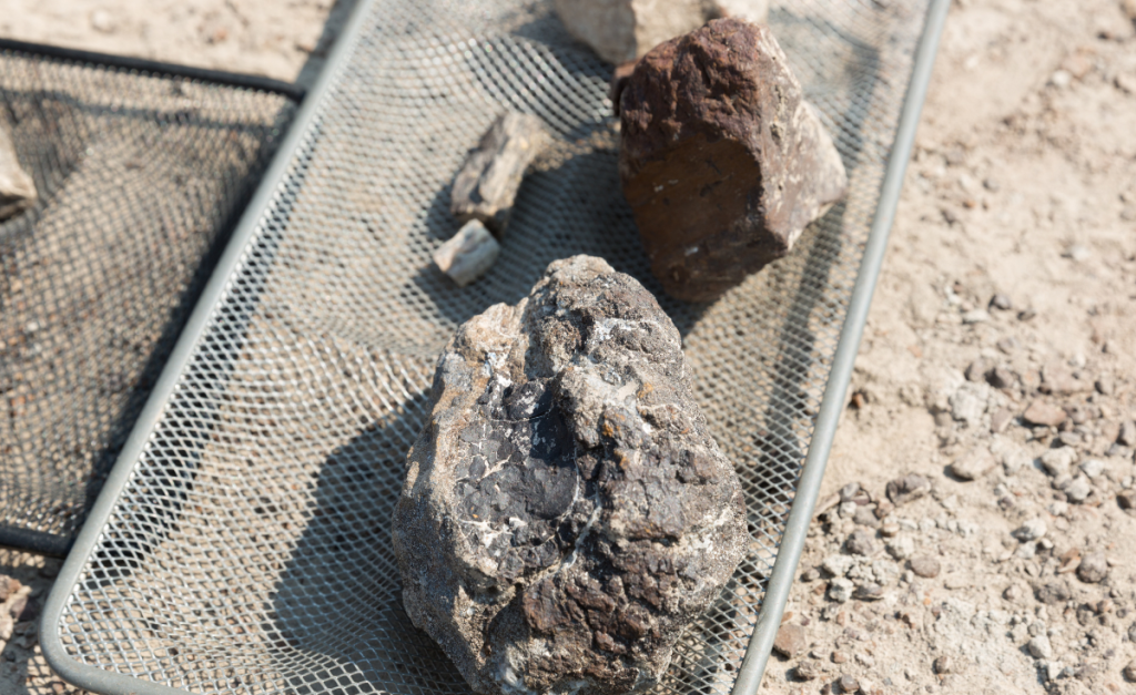 A close up shot of some rocks with fossils in them sitting in a wire basket.