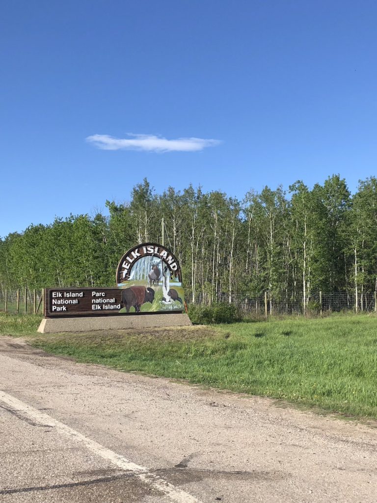 A portrait photo of a sign next to a road and pine trees that says Elk Island National Park in English and French.