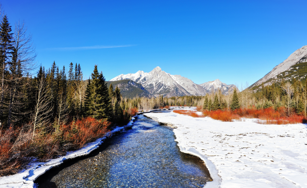 A river in a snowy landscape with pine trees and mountains on a sunny day with clear blue skies.