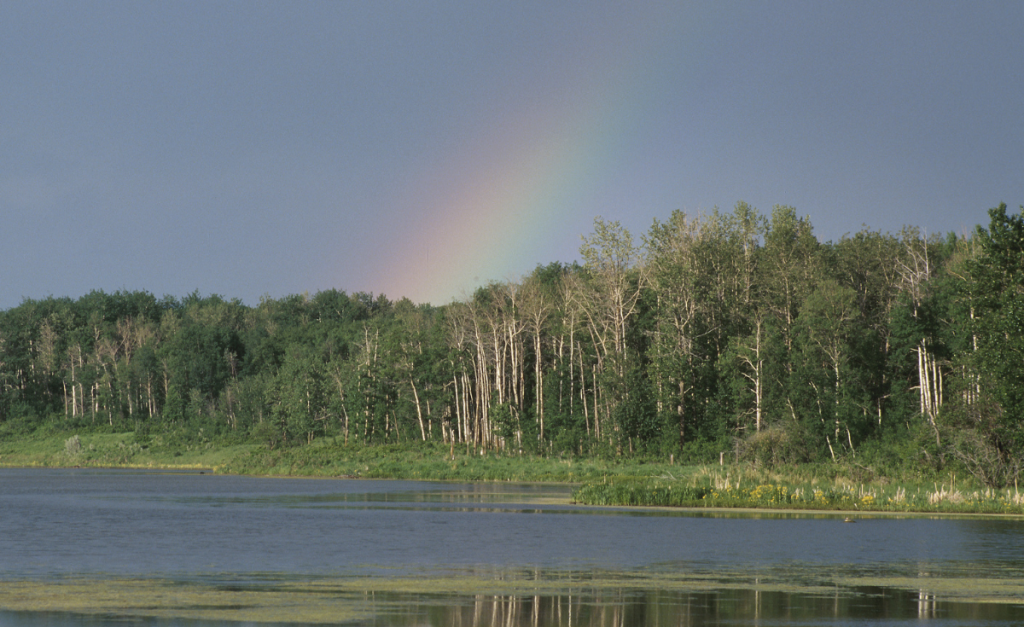 A rainbow in Lake Astotin in Elk Island National Park