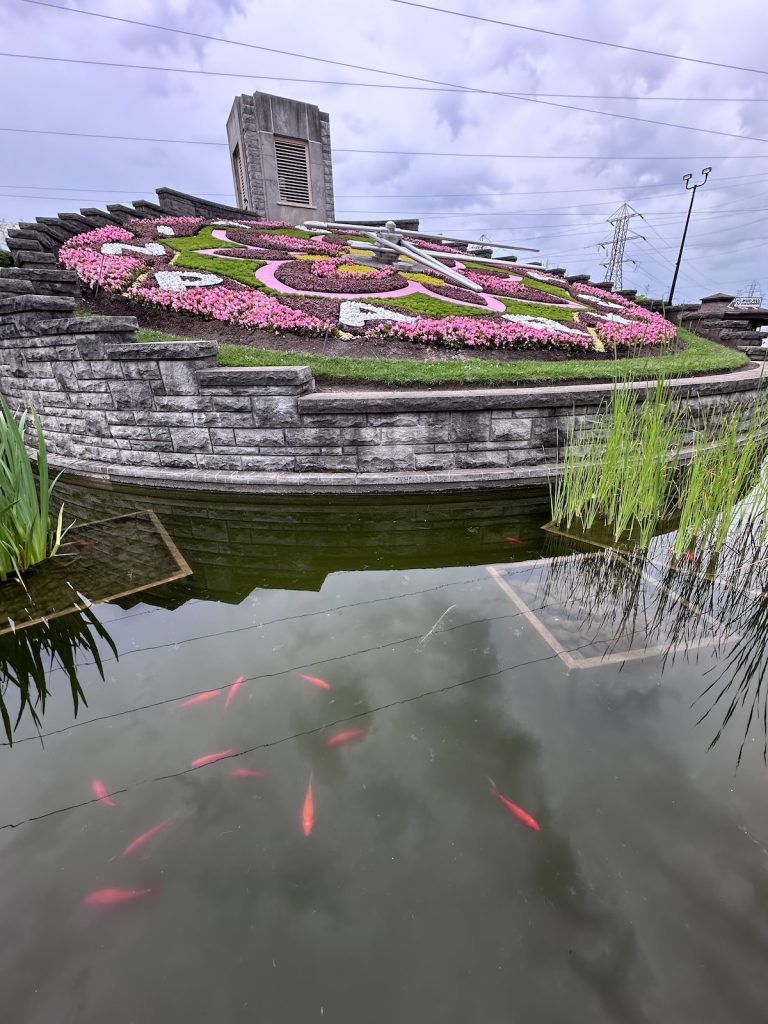 A clock made from flowers with a fish pond with red fish in the foreground.