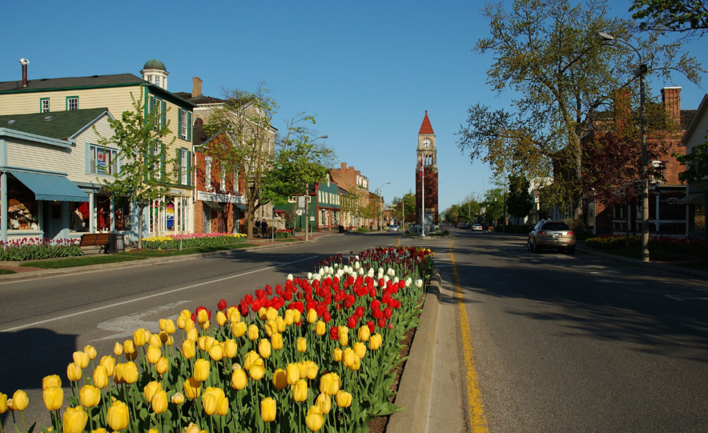 Colorful tulips planted in the middle of a road with pretty wooden buildings and a clock tower.