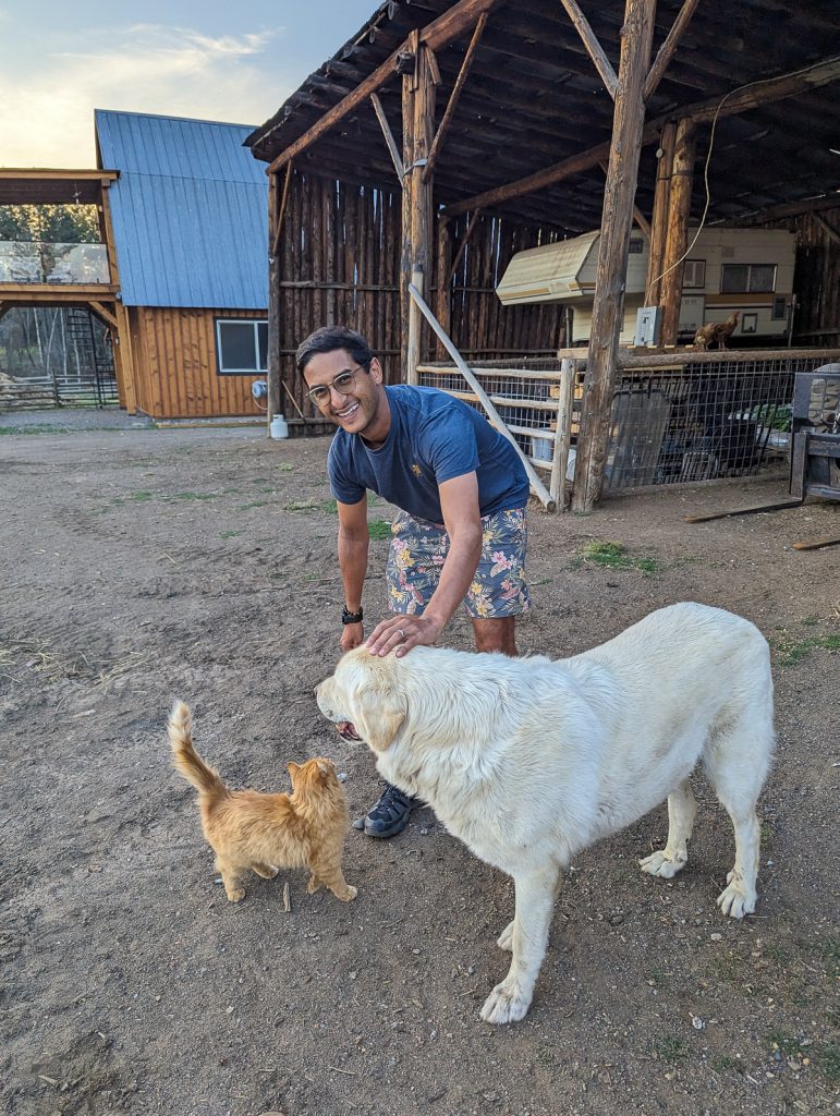 Ganesh with a dog and cat