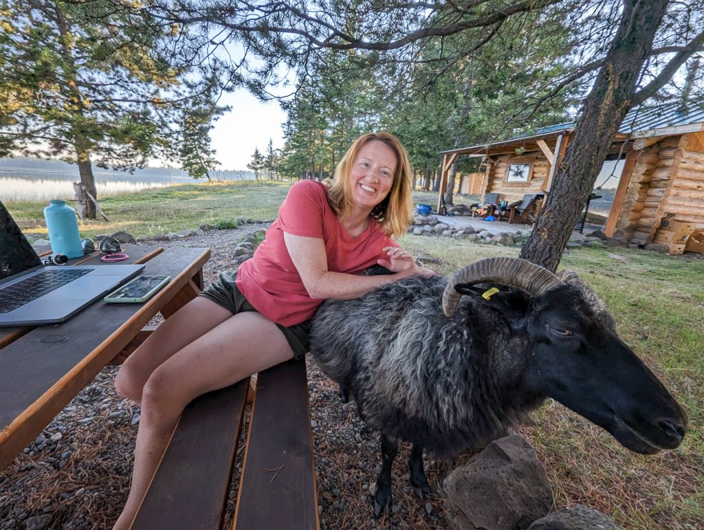 Sooz with sheep