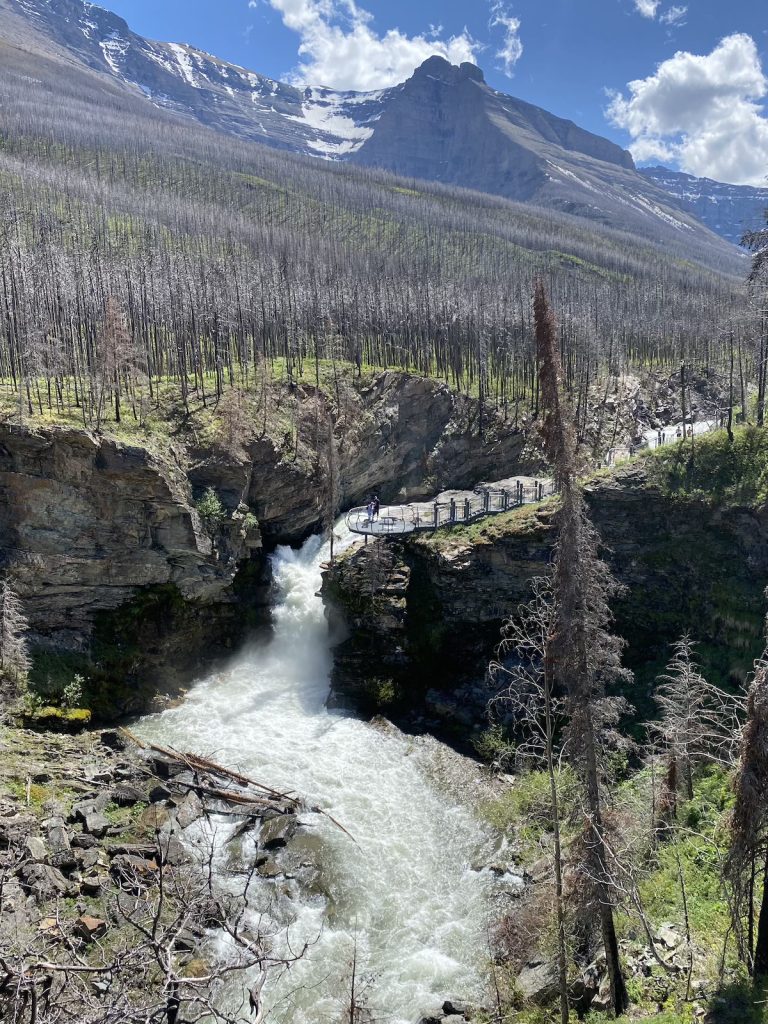 A photo of people in the distance on a viewing platform next to a large waterfall, surrounded by bare trees and a large mountain in the background.