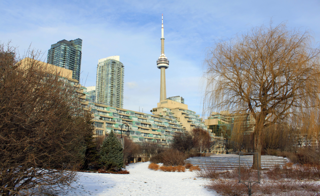 Toronto's CN Tower seen from a snowy park during the day.