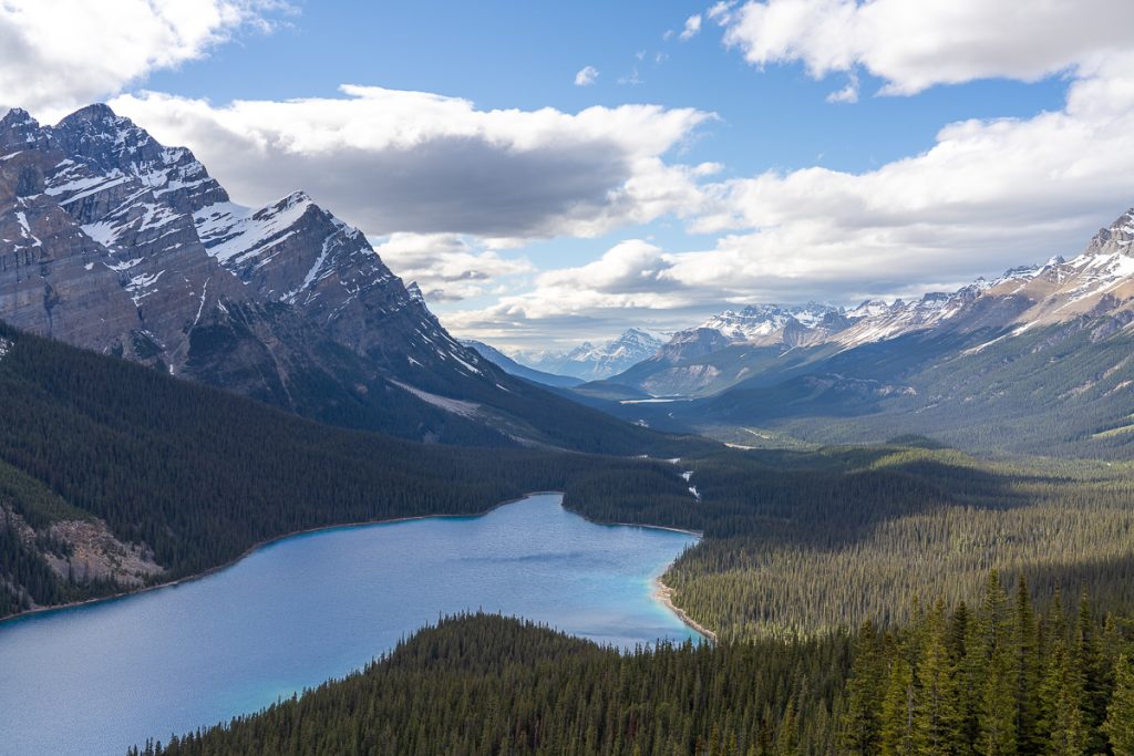 a panoramic view of a blue lake and mountains in a valley Peyto lake