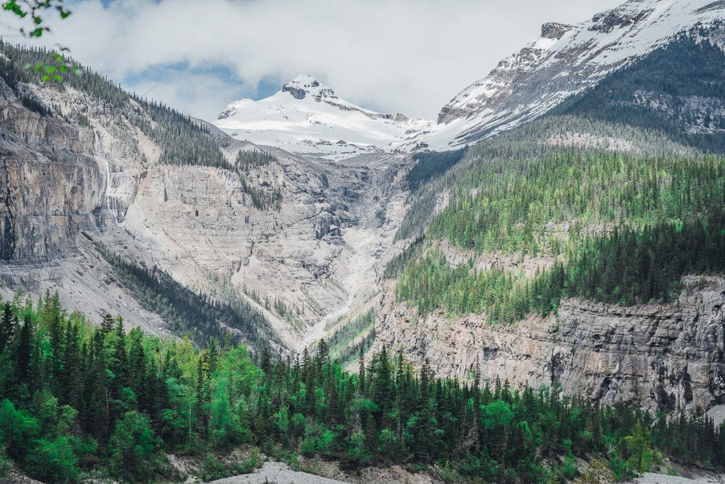Glacier and mountains with green forest on the Berg Lake Trail
