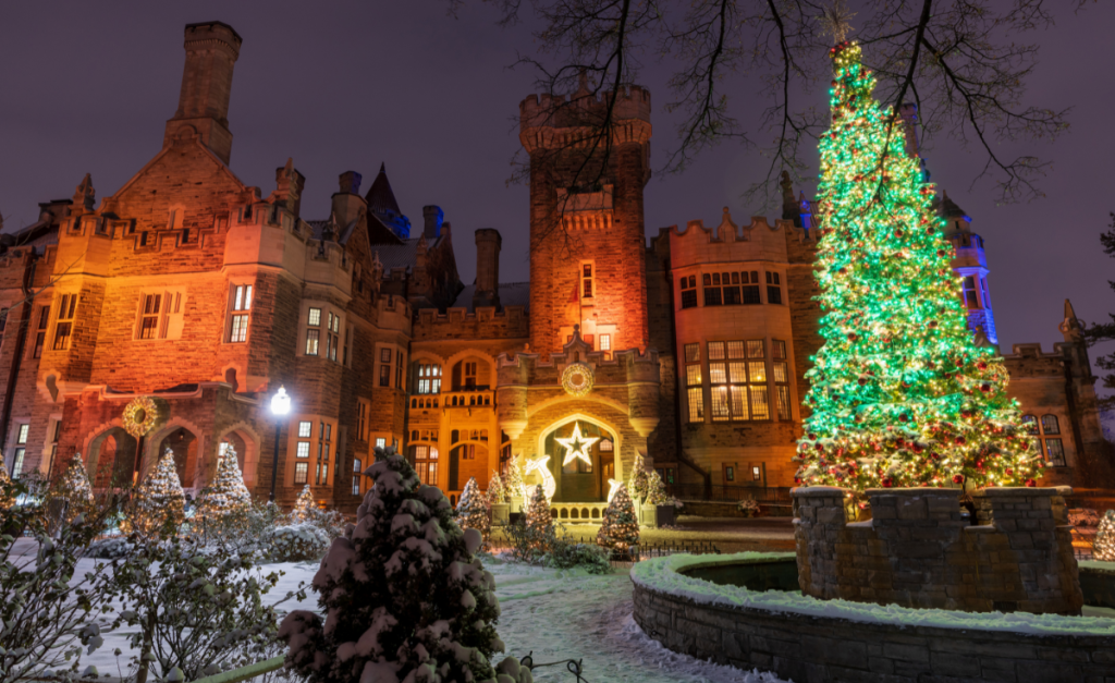 A grand, stone, castle-like building at night with a lit-up Christmas tree and smaller trees in the foreground.