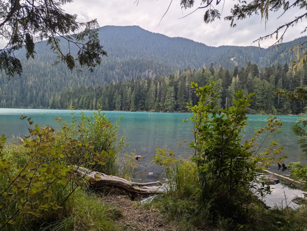 Cheakamus lake