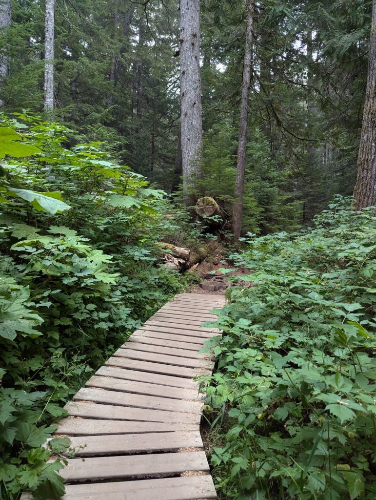 whistler interpretive forest