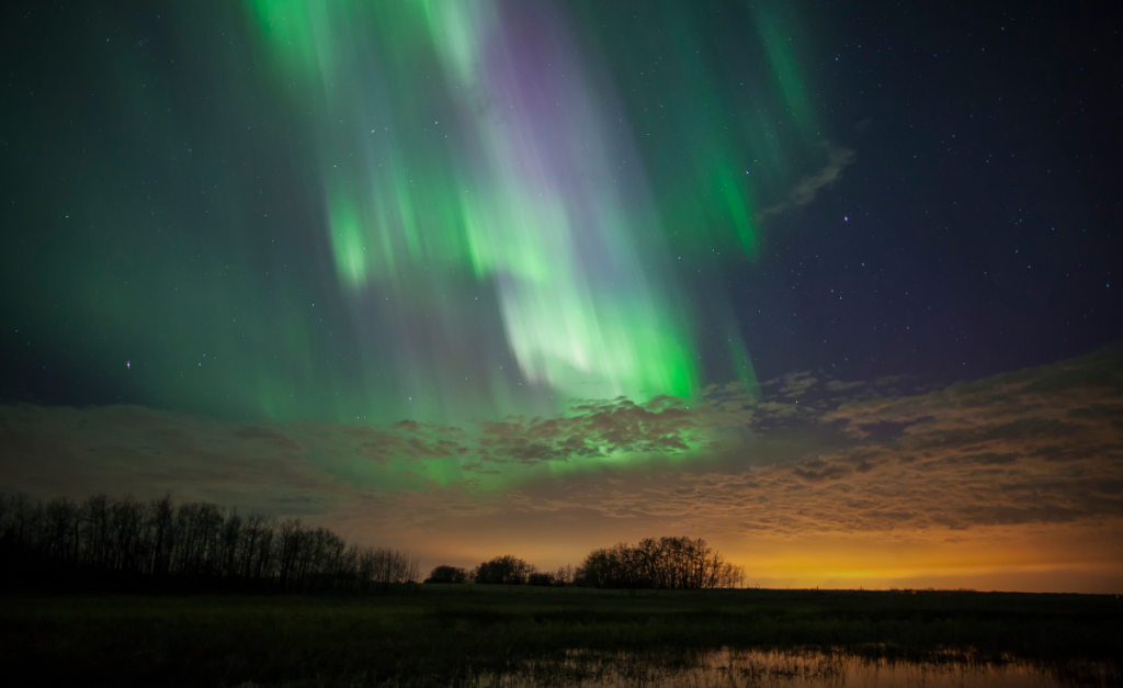 Green and purple Aurora lights in a dark sky above trees at night.