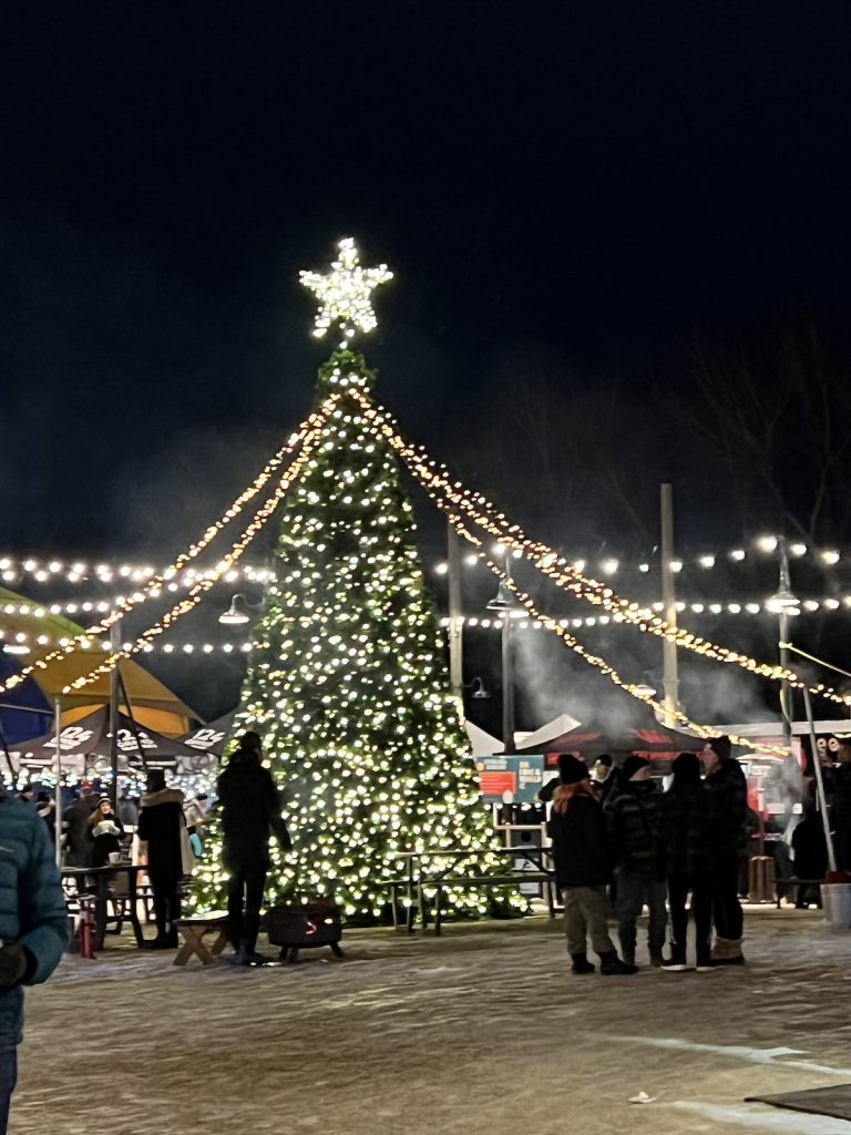 A Christmas tree at night lit up with strands of lights and a giant star, with people in groups around it.