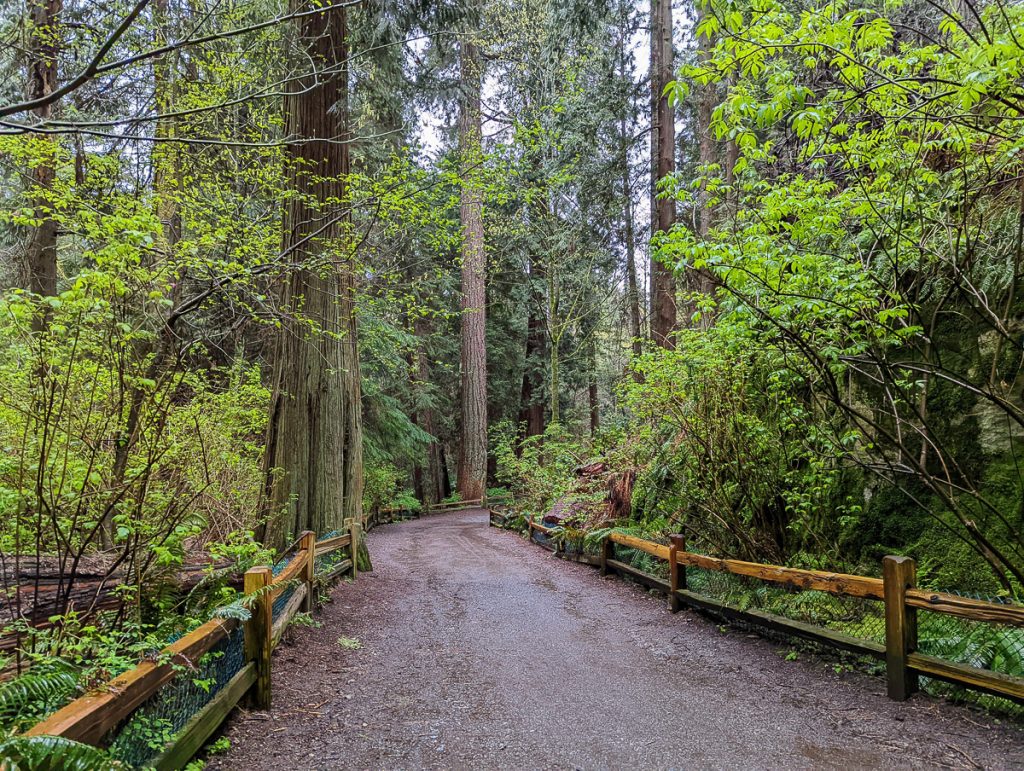 A gravel path into the forest at Lighthouse Park West Vancouver