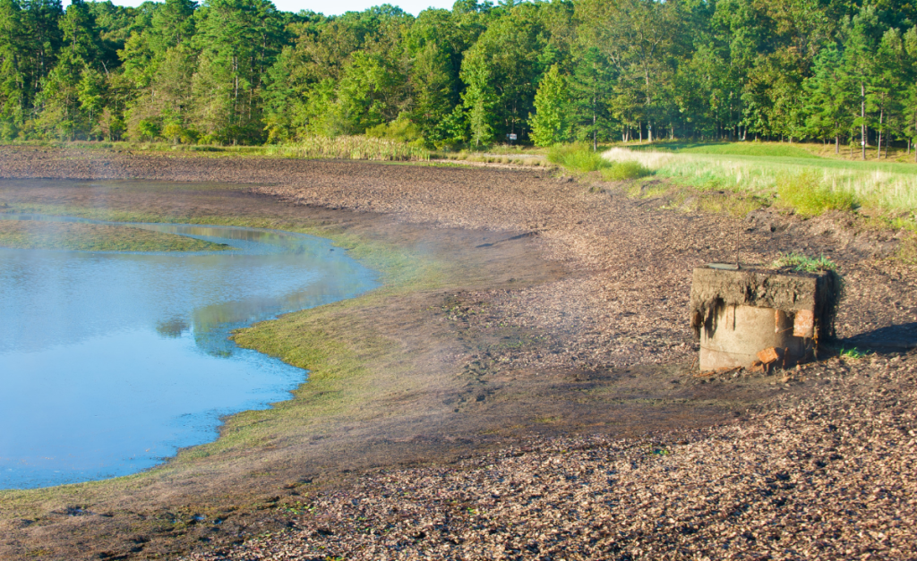 A lake with extremely low water levels next to green trees.