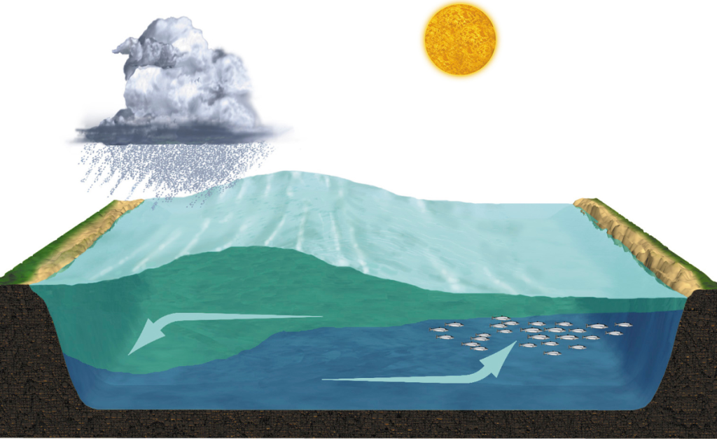 A drawing showing currents in water below a sun and a cloud with rain falling from it.
