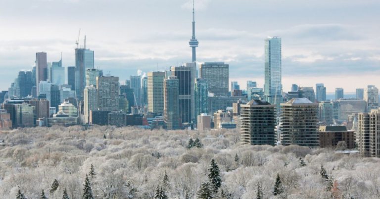 A cityscape with snowy trees in the foreground and skyscrapers with a tall tower in the background.