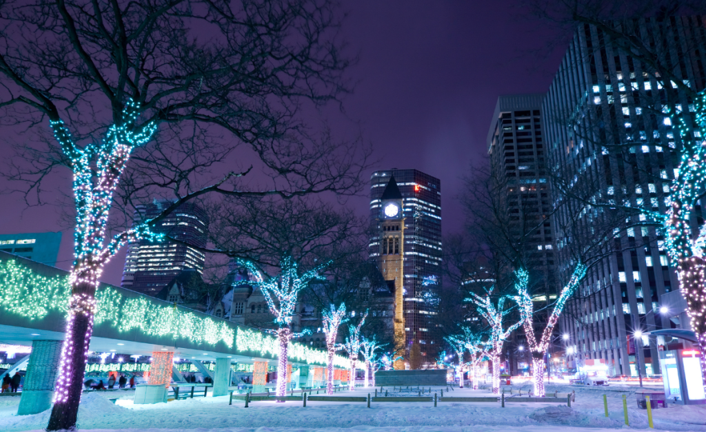 Trees and the side of a building lit-up with colored lights at night with city buildings in the background and snow on the ground.