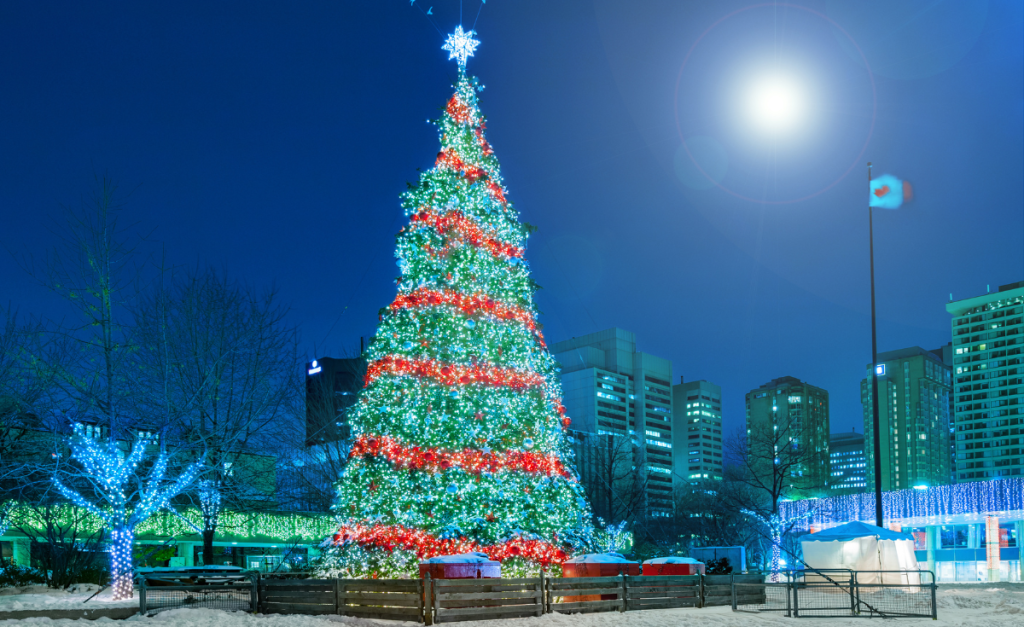 A tall Christmas tree all lit-up at night in a city square.