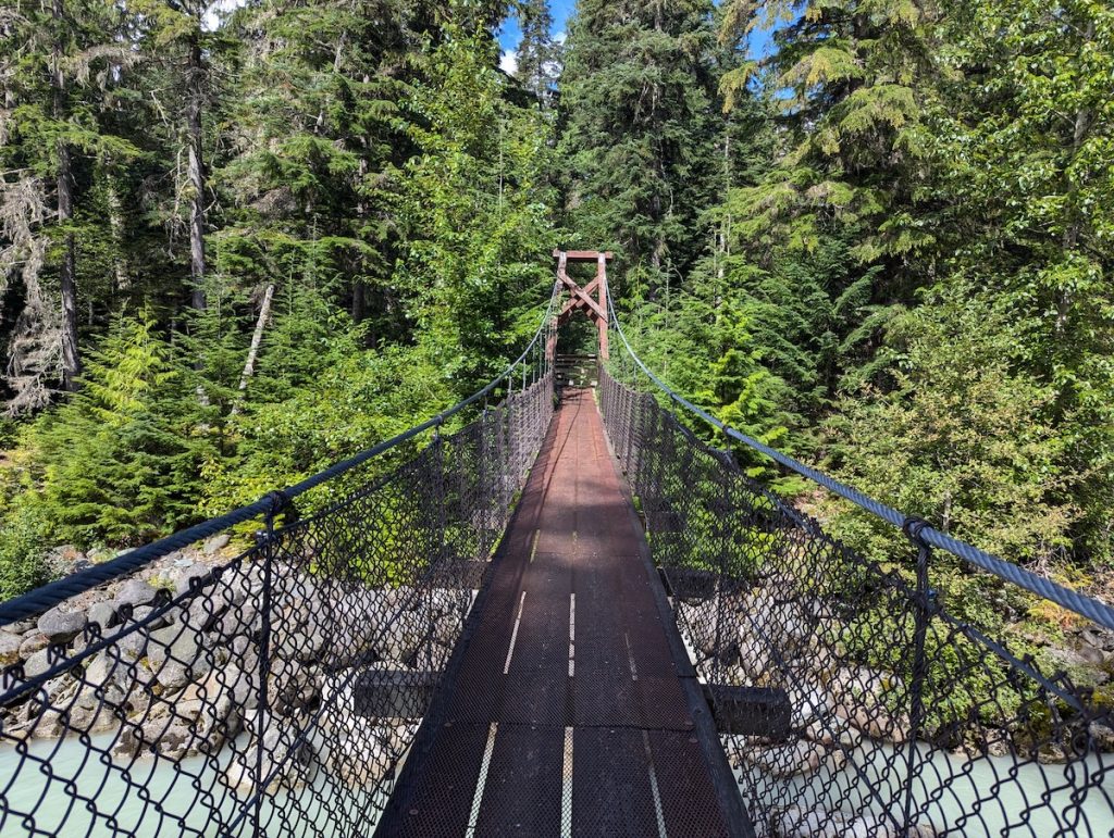 Whistler Forest