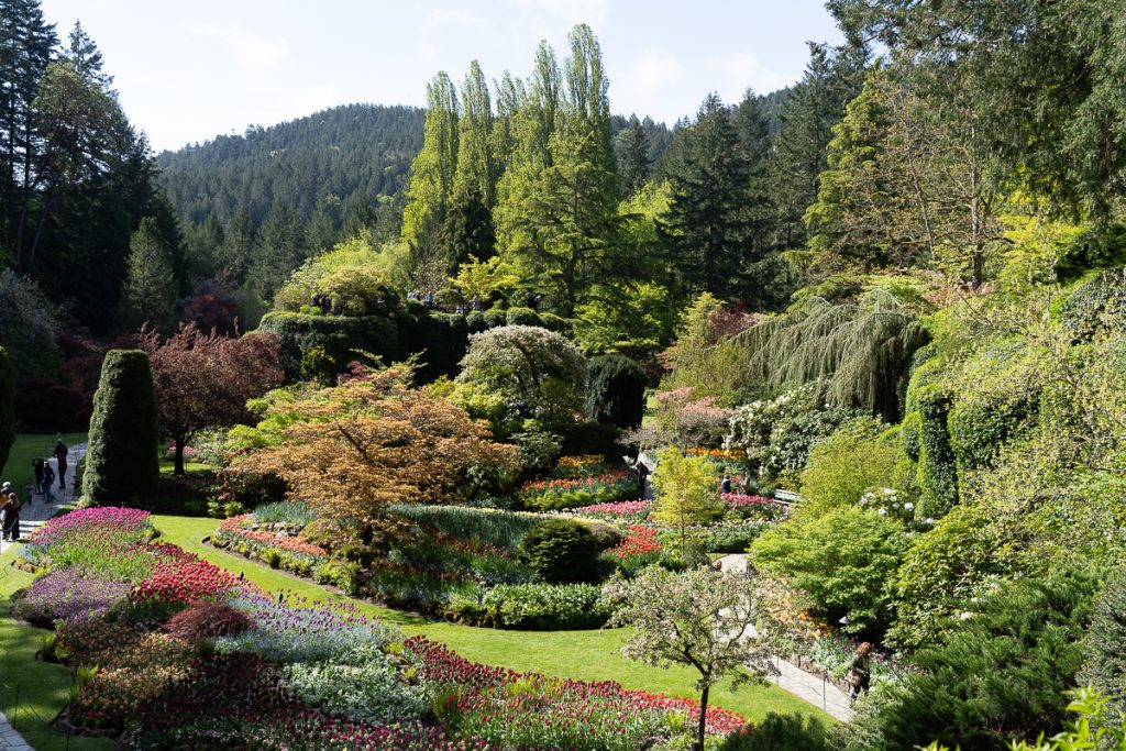 An overview of Butchart Gardens