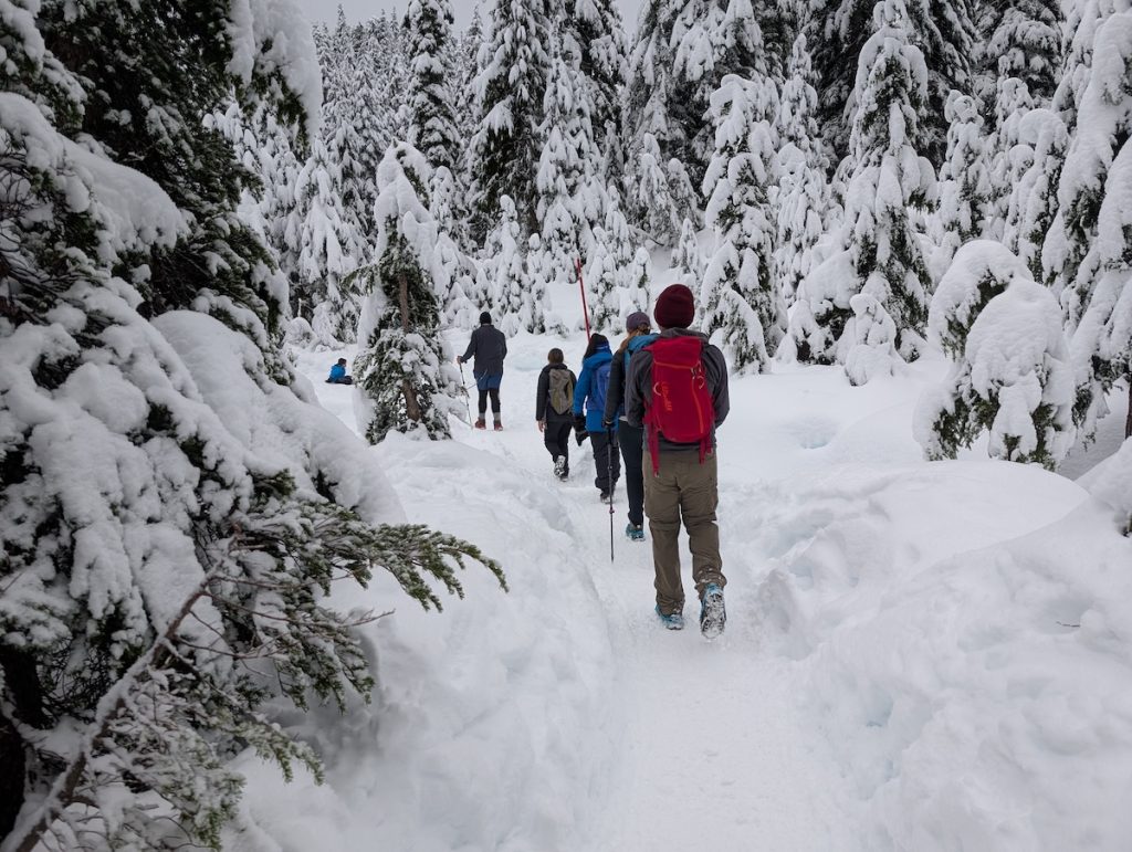 a group of people snowshoe in winter