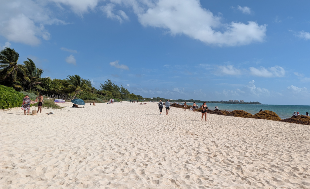 A wide, white sandy beach with people on the sand, greenery on one side and piles of brown seaweed on the other blocking the water.