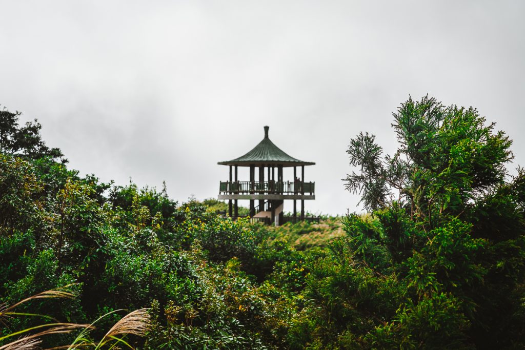 A lookout tower surrounded by greenery with a solid sky of gray clouds in the background.