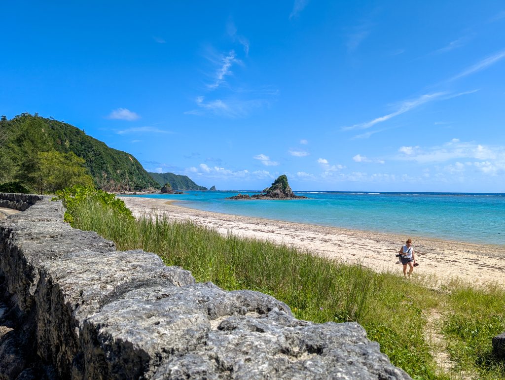Sooz walking on a beach backed by green grass and a stone wall with green rocky cliffs inthe background and blue waters under a clear blue sky with a couple of white clouds.