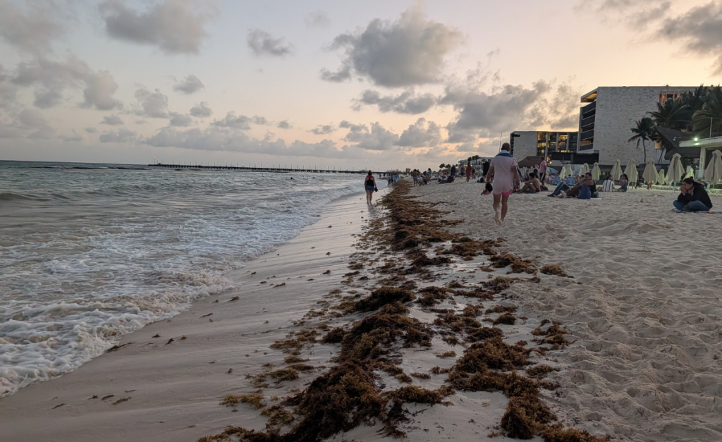 A beachside resort with buildings facing the water at dusk, with lots of people on the sand and some seaweed washed up at the waterline.