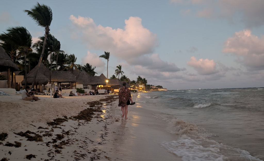 A woman walking along a beach at dusk, with buildings, palm trees and people sitting on the sand to her left, waves to her right, and a slight build up of brown seaweed at the water line.