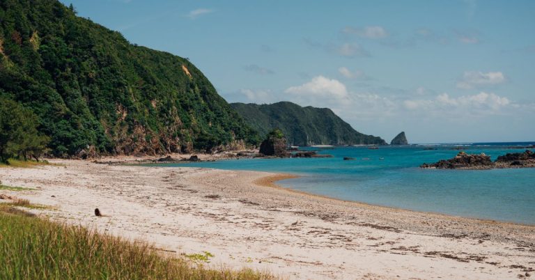 A beach backed by green mountains with rocky outcrops in the waters.